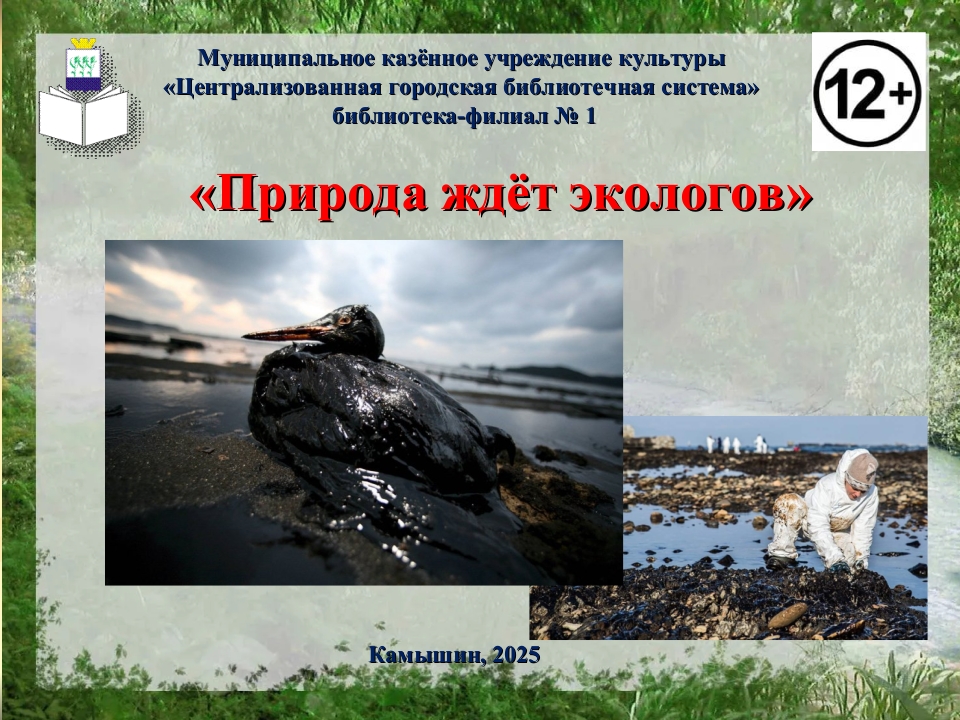 Титул презентации
