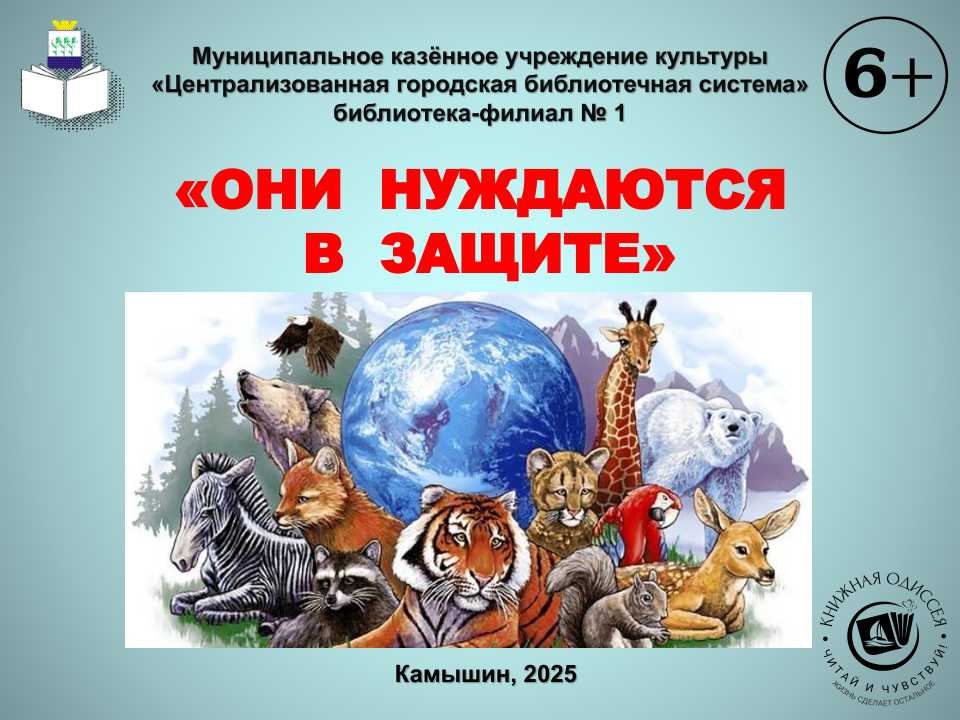 Титул презентации