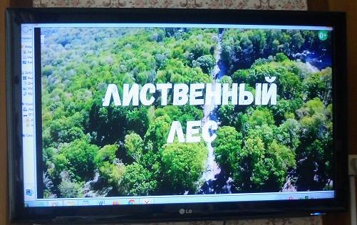 Фото  с мероприятия 