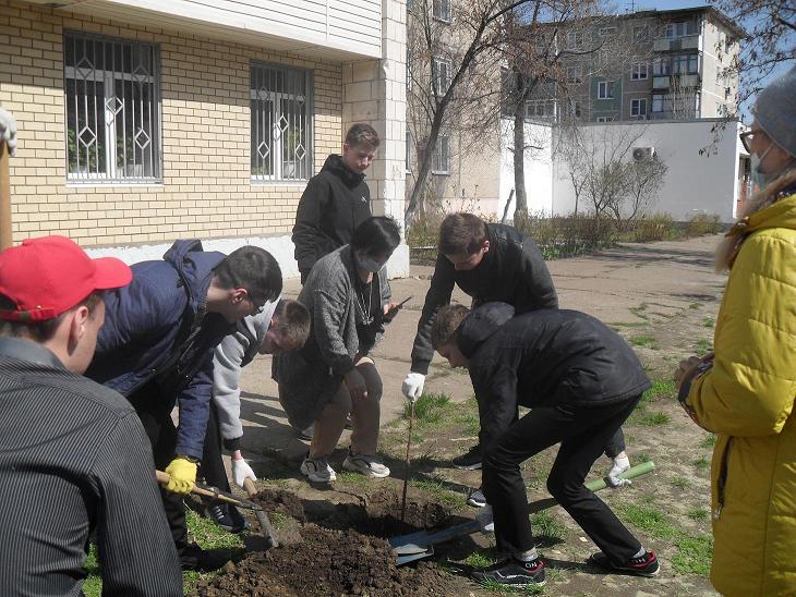 Школьники сажают дерево 