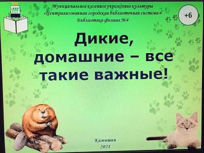 Заставка к презентации