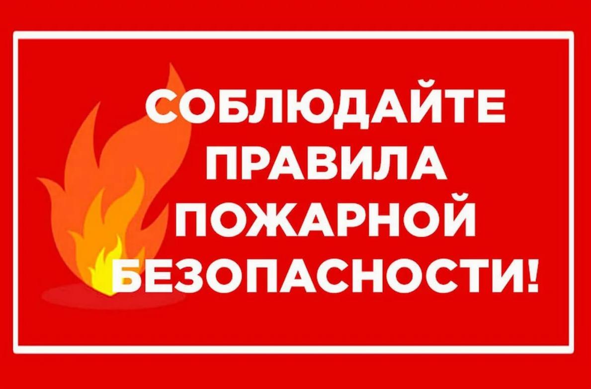 Фото  с мероприятия 